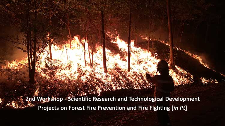 2nd Workshop - Scientific Research and Technological Development Projects on Forest Fire Prevention and Fire Fighting