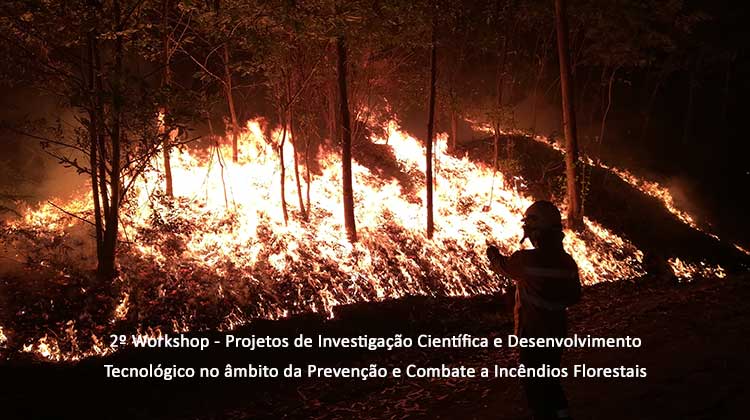 2º Workshop – Projetos de Investigação Científica e Desenvolvimento Tecnológico no âmbito da Prevenção e Combate a Incêndios Florestais